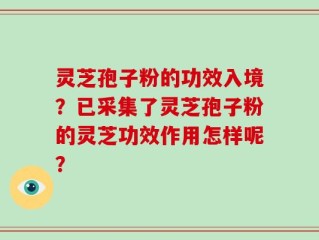 灵芝孢子粉的功效入境？已采集了灵芝孢子粉的灵芝功效作用怎样呢？