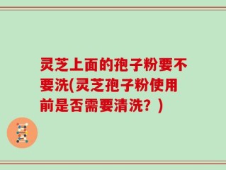 灵芝上面的孢子粉要不要洗(灵芝孢子粉使用前是否需要清洗？)