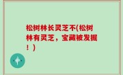 松树林长灵芝不(松树林有灵芝，宝藏被发掘！)