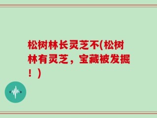 松树林长灵芝不(松树林有灵芝，宝藏被发掘！)