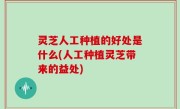 灵芝人工种植的好处是什么(人工种植灵芝带来的益处)