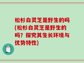 松杉白灵芝是野生的吗(松杉白灵芝是野生的吗？探究其生长环境与优势特性)