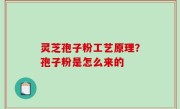 灵芝孢子粉工艺原理？孢子粉是怎么来的