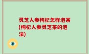 灵芝人参枸杞怎样泡茶(枸杞人参灵芝茶的泡法)