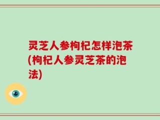 灵芝人参枸杞怎样泡茶(枸杞人参灵芝茶的泡法)