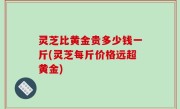 灵芝比黄金贵多少钱一斤(灵芝每斤价格远超黄金)
