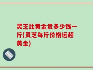 灵芝比黄金贵多少钱一斤(灵芝每斤价格远超黄金)