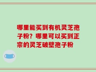哪里能买到有机灵芝孢子粉？哪里可以买到正宗的灵芝破壁孢子粉