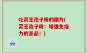 吃灵芝孢子粉的图片(灵芝孢子粉：增强免疫力的圣品！)