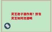 灵芝孢子酒作用？野生灵芝如何泡酒喝