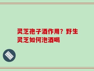 灵芝孢子酒作用？野生灵芝如何泡酒喝