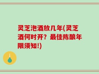 灵芝泡酒放几年(灵芝酒何时开？最佳陈酿年限须知!)