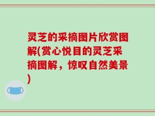 灵芝的采摘图片欣赏图解(赏心悦目的灵芝采摘图解，惊叹自然美景)