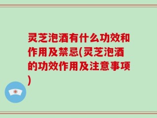 灵芝泡酒有什么功效和作用及禁忌(灵芝泡酒的功效作用及注意事项)