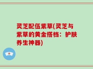 灵芝配伍紫草(灵芝与紫草的黄金搭档：护肤养生神器)