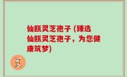 仙瓯灵芝孢子 (臻选仙瓯灵芝孢子，为您健康筑梦)