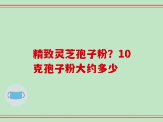 精致灵芝孢子粉？10克孢子粉大约多少