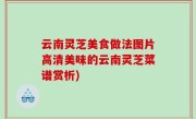 云南灵芝美食做法图片高清美味的云南灵芝菜谱赏析)