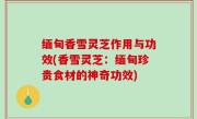 缅甸香雪灵芝作用与功效(香雪灵芝：缅甸珍贵食材的神奇功效)