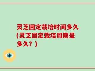 灵芝固定栽培时间多久(灵芝固定栽培周期是多久？)