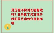 灵芝孢子粉对长痘有效吗？已采集了灵芝孢子粉的灵芝功效作用怎样呢