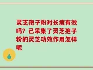 灵芝孢子粉对长痘有效吗？已采集了灵芝孢子粉的灵芝功效作用怎样呢