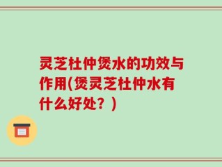 灵芝杜仲煲水的功效与作用(煲灵芝杜仲水有什么好处？)