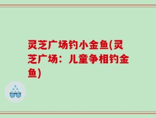 灵芝广场钓小金鱼(灵芝广场：儿童争相钓金鱼)