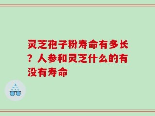 灵芝孢子粉寿命有多长？人参和灵芝什么的有没有寿命