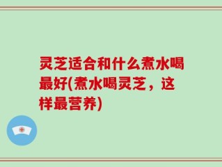 灵芝适合和什么煮水喝最好(煮水喝灵芝，这样最营养)