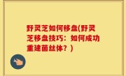 野灵芝如何移盘(野灵芝移盘技巧：如何成功重建菌丝体？)