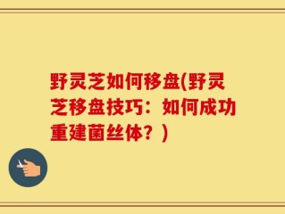 野灵芝如何移盘(野灵芝移盘技巧：如何成功重建菌丝体？)