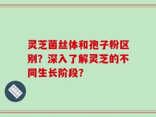 灵芝菌丝体和孢子粉区别？深入了解灵芝的不同生长阶段？