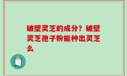 破壁灵芝的成分？破壁灵芝孢子粉能种出灵芝么