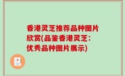 香港灵芝推荐品种图片欣赏(品鉴香港灵芝：优秀品种图片展示)