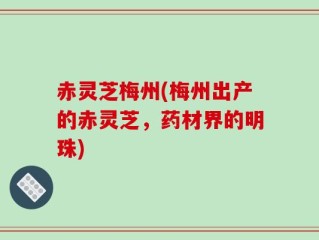 赤灵芝梅州(梅州出产的赤灵芝，药材界的明珠)