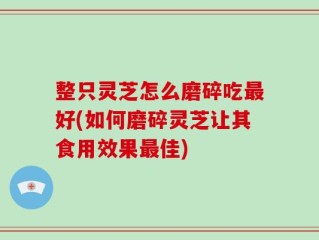 整只灵芝怎么磨碎吃最好(如何磨碎灵芝让其食用效果最佳)