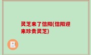 灵芝来了信阳(信阳迎来珍贵灵芝)