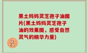 黑土妈妈灵芝孢子油图片(黑土妈妈灵芝孢子油的效果图，感受自然灵气的精华力量)