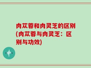 肉苁蓉和肉灵芝的区别(肉苁蓉与肉灵芝：区别与功效)
