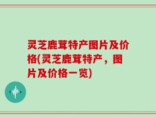 灵芝鹿茸特产图片及价格(灵芝鹿茸特产，图片及价格一览)