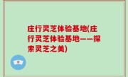 庄行灵芝体验基地(庄行灵芝体验基地——探索灵芝之美)