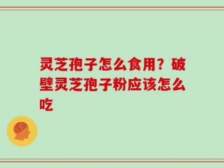 灵芝孢子怎么食用？破壁灵芝孢子粉应该怎么吃
