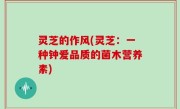 灵芝的作风(灵芝：一种钟爱品质的菌木营养素)