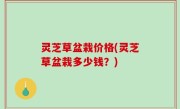 灵芝草盆栽价格(灵芝草盆栽多少钱？)