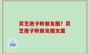 灵芝孢子粉朋友圈？灵芝孢子粉朋友圈文案