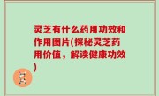 灵芝有什么药用功效和作用图片(探秘灵芝药用价值，解读健康功效)