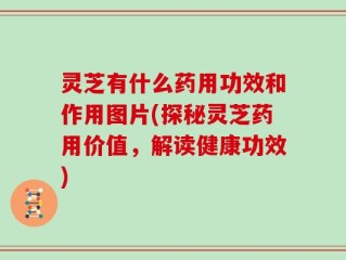 灵芝有什么药用功效和作用图片(探秘灵芝药用价值，解读健康功效)