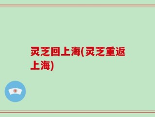 灵芝回上海(灵芝重返上海)