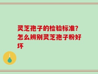 灵芝孢子的检验标准？怎么辨别灵芝孢子粉好坏